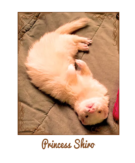 Princess Shiro