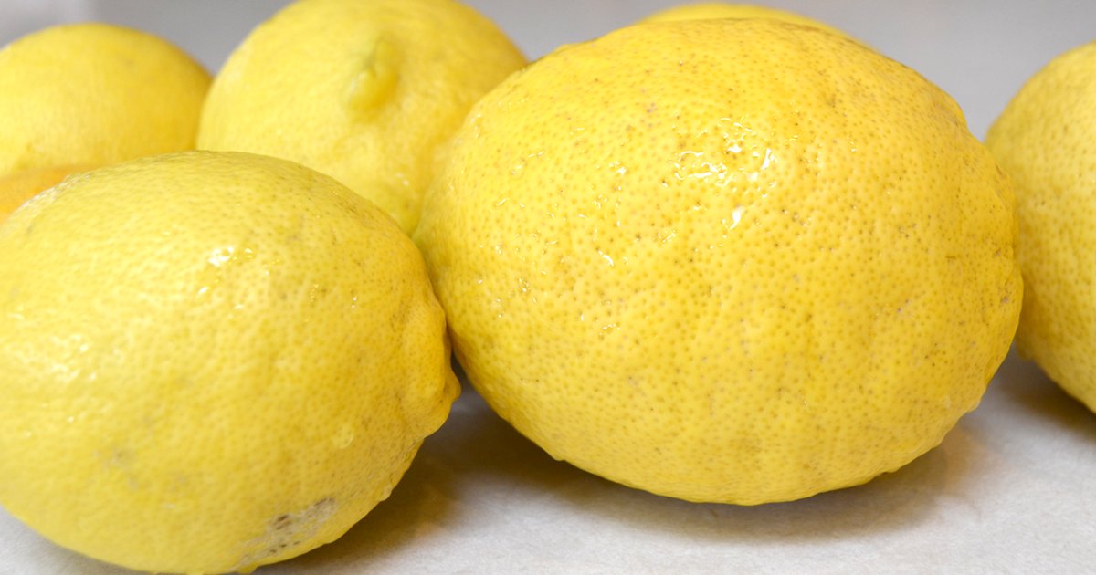 Homemade Lemonade