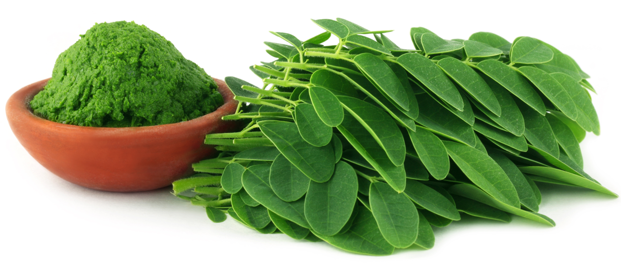 14 Reasons You Should Eat Moringa
